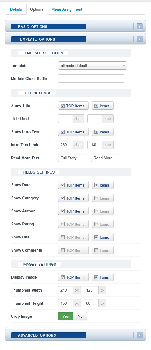 Joomla 3.0 Module Interface